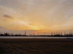-小鱼草莓采摘园农家乐·小鱼餐厅