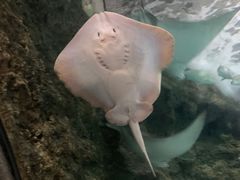 -南昌海洋公园