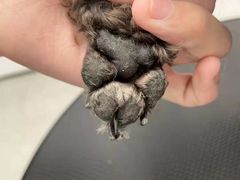 -comecome来吧宠物(奥克斯中心店)