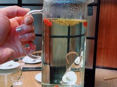 -山楂树融合菜餐厅