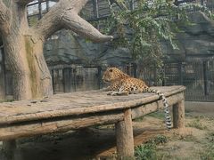 -石家庄市动物园