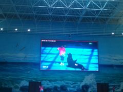 -多彩贵州城极地海洋世界