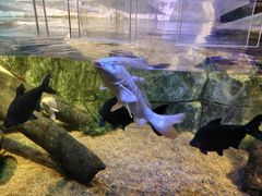 -沈阳海洋探索中心