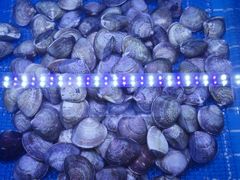 -海底捞火锅(威高广场店)