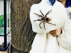 -藦茜花园宠物主题亲子互动体验馆(国顺东路店)