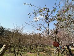 -雨花台烈士纪念馆