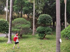 -广州雕塑公园