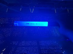 -东方体育中心(地铁站)