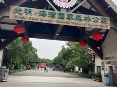 -上海海湾国家森林公园