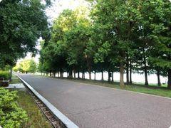 -苏州湾体育公园