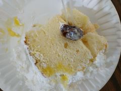 -幸福鸟动物奶油生日蛋糕(军校店)