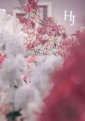 -天邑国际酒店·宴会厅