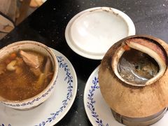 原只椰子炖飞天鸭-達揚原味燉品(文明路店)