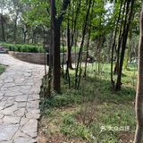 洛阳-龙门石窟遗址