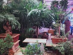 -长宁东道花卉宠物市场