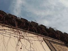 -寒香会社(平江路店)