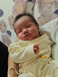 -雏芽婴幼儿游泳·小美医生小儿推拿(西村店)