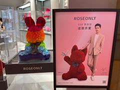 -ROSEONLY诺誓(广州K11店)