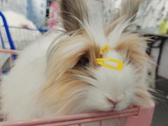 -成都失恋馆