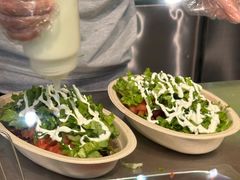 -油梨树AVOCADO TREE(望京店)