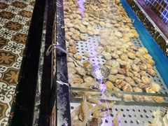 -五月罗马海鲜烤肉自助餐厅(印象城店)
