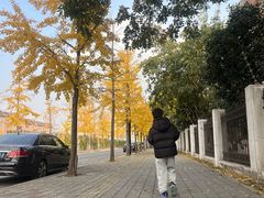 -复旦大学附属眼耳鼻喉科医院(浦江院区)