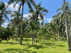 -中国科学院西双版纳热带植物园