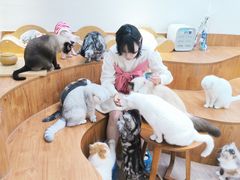 -有猫主题·治愈系猫咖(曾厝垵店)