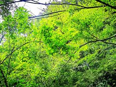 -严子陵钓台(富春江小三峡)