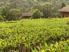 -姑婆山旅游区