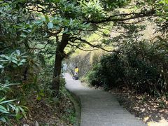 -崀山风景名胜区