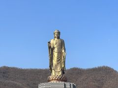 -中原大佛景区