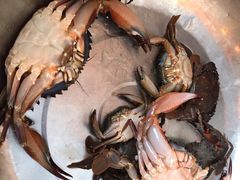 -小黑石海滨浴场·停车场