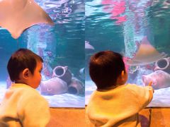 -沈阳海洋探索中心