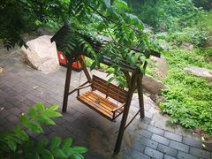 -大岭沟猕猴桃谷风景区