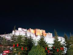 -吉祥圣雪藏餐
