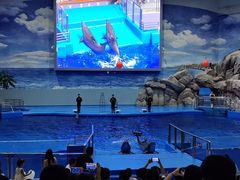 -福州罗源湾海洋世界旅游区