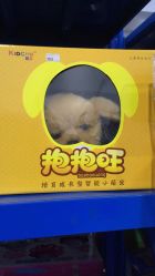 -逝水玩具折扣店