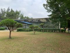 -南宁良凤江国家森林公园