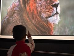 -罗红摄影艺术馆