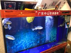 -肆月河豚·新淮扬(金融街店)