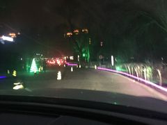 -枫花园汽车电影院(朝阳公园店)