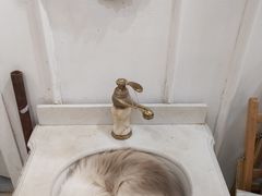 -共舞时光猫咖·狗咖(新街口店)