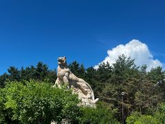 -帽儿山国家森林公园