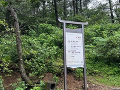 -四明山国家森林公园