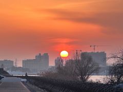 -上海滨江森林公园