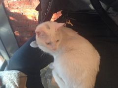 iphone_upload_pic-MIKAKU(万达广场上海宝山店)