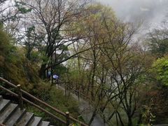 -牛背梁国家森林公园