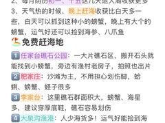 -日照灯塔风景区