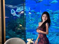 -亚特兰蒂斯•OSSIANO奥西亚诺海底餐厅